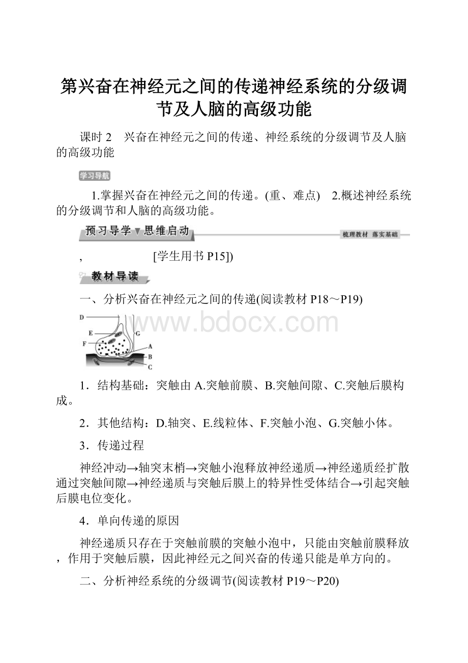 第兴奋在神经元之间的传递神经系统的分级调节及人脑的高级功能.docx