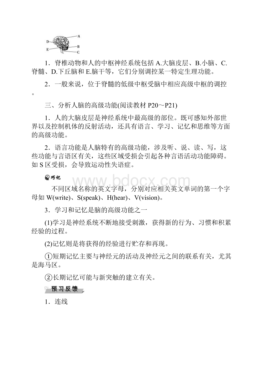 第兴奋在神经元之间的传递神经系统的分级调节及人脑的高级功能.docx_第2页