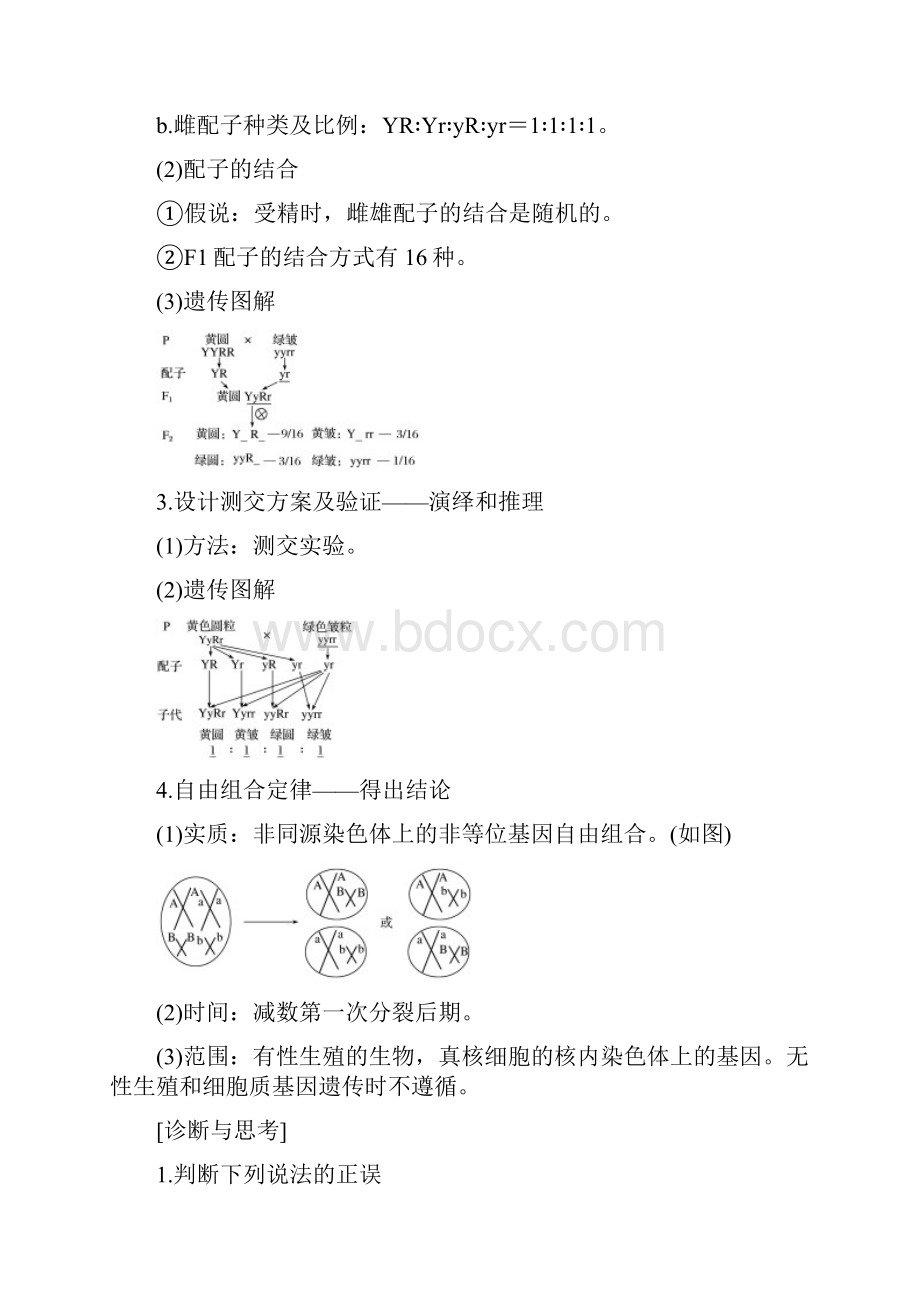 版高考生物一轮复习第五单元遗传的基本规律第17讲基因的自由组合定律Ⅰ新人教版.docx_第2页