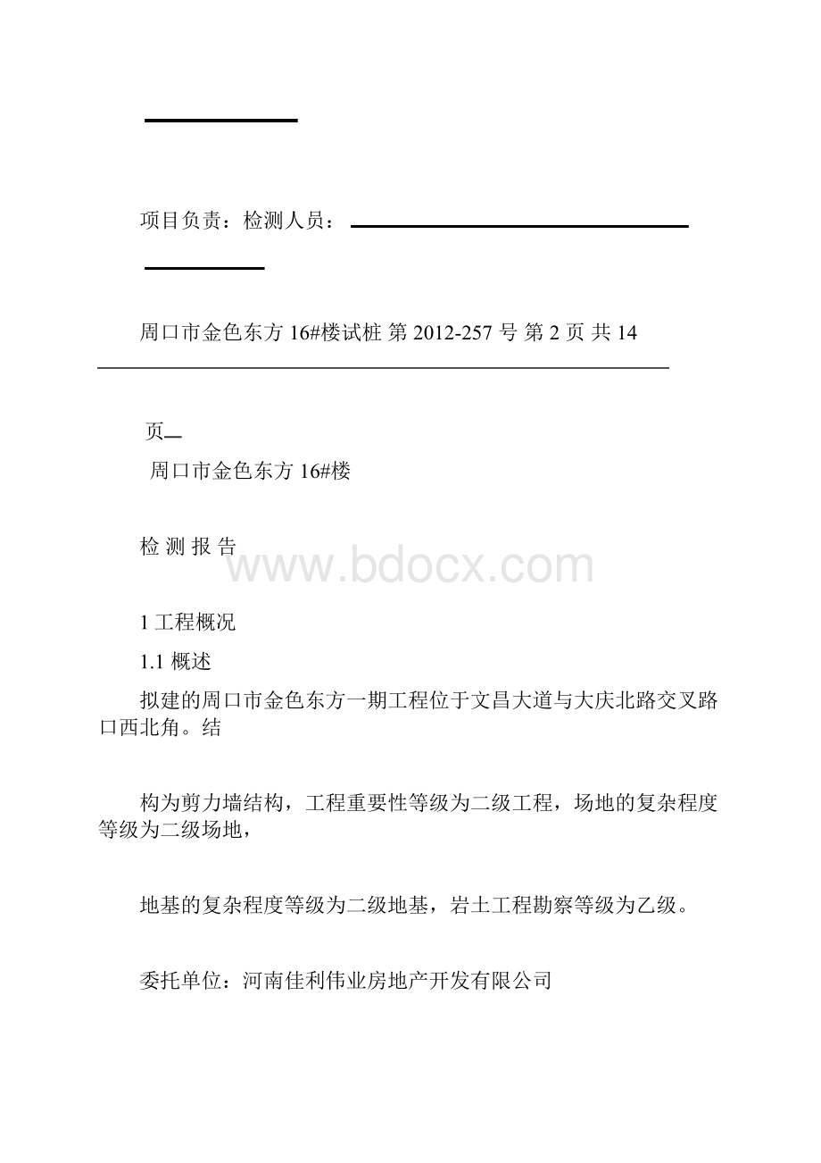 桩基检测报告书.docx_第2页