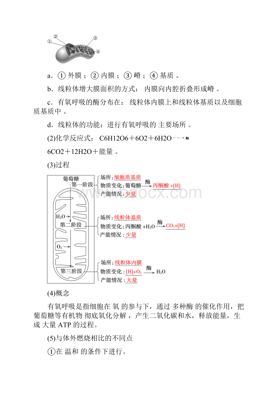 新高考 一轮复习 人教版 细胞呼吸 教案.docx_第2页