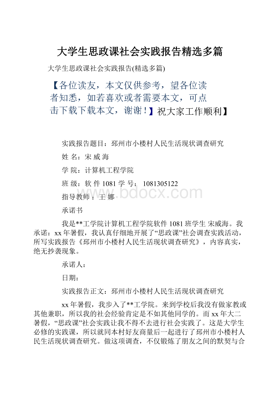 大学生思政课社会实践报告精选多篇.docx