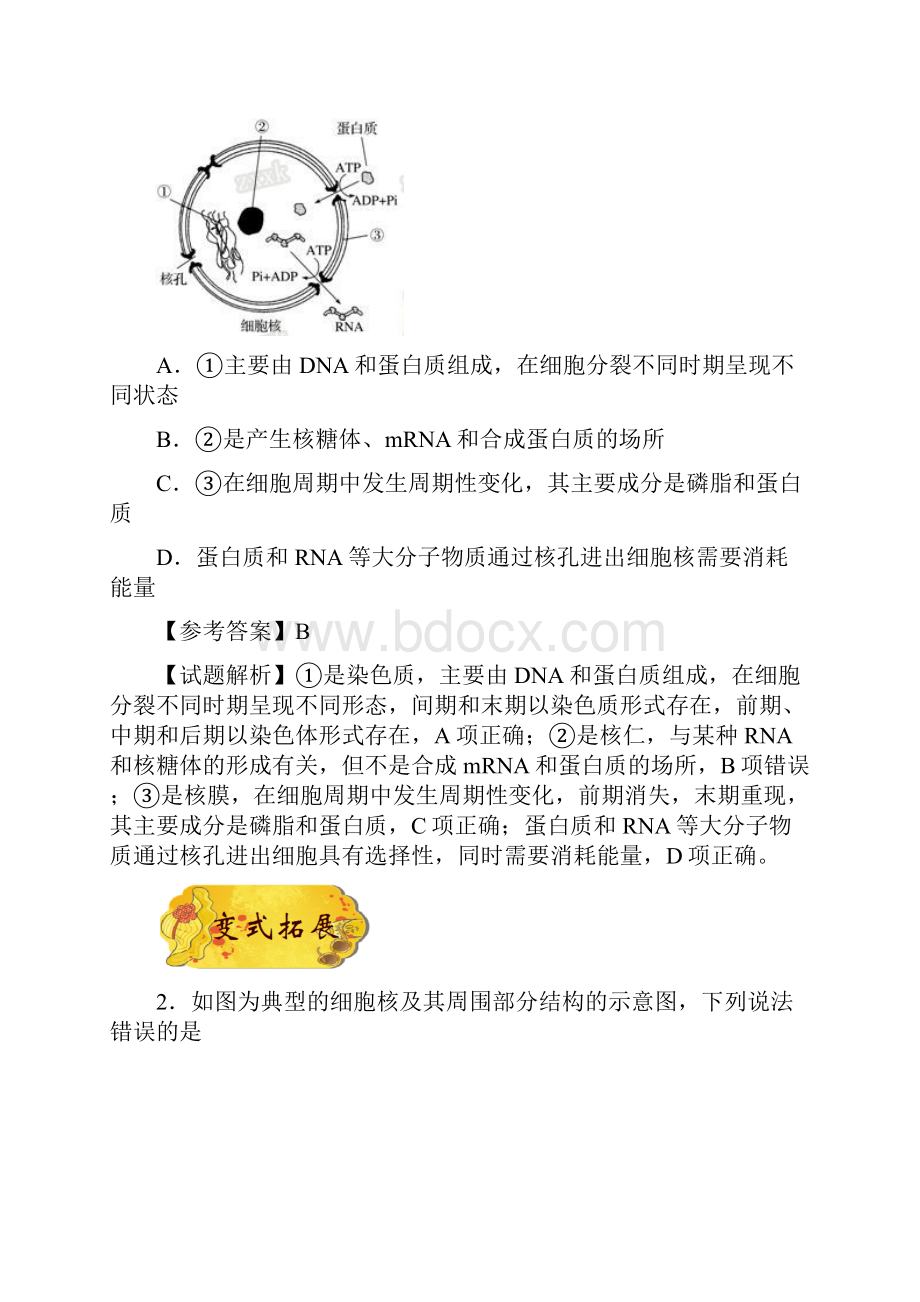 届一轮复习人教版 专题09 细胞核的结构与功能 教案.docx_第2页