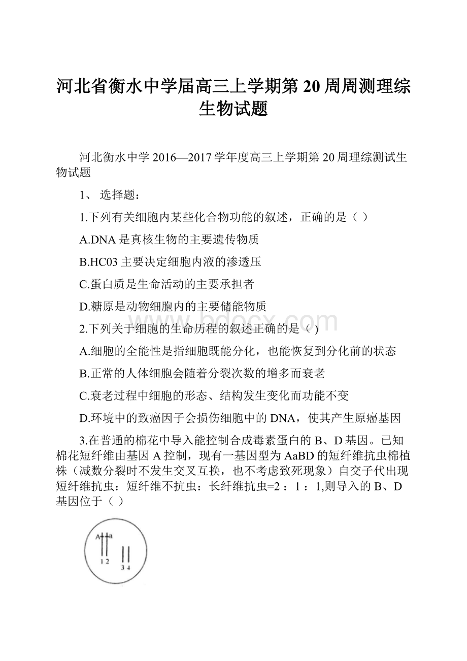 河北省衡水中学届高三上学期第20周周测理综生物试题.docx_第1页