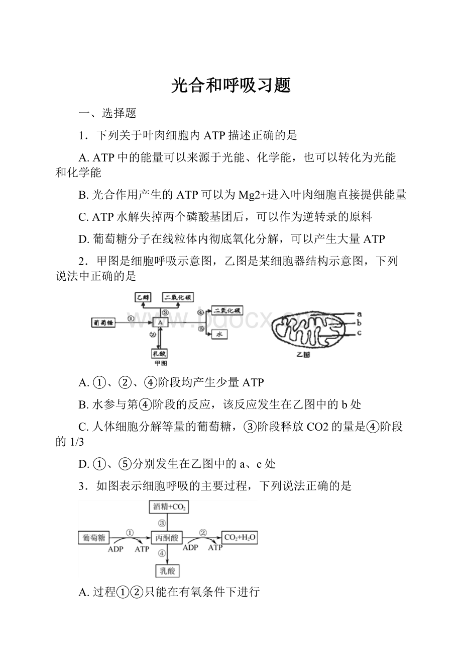 光合和呼吸习题.docx_第1页