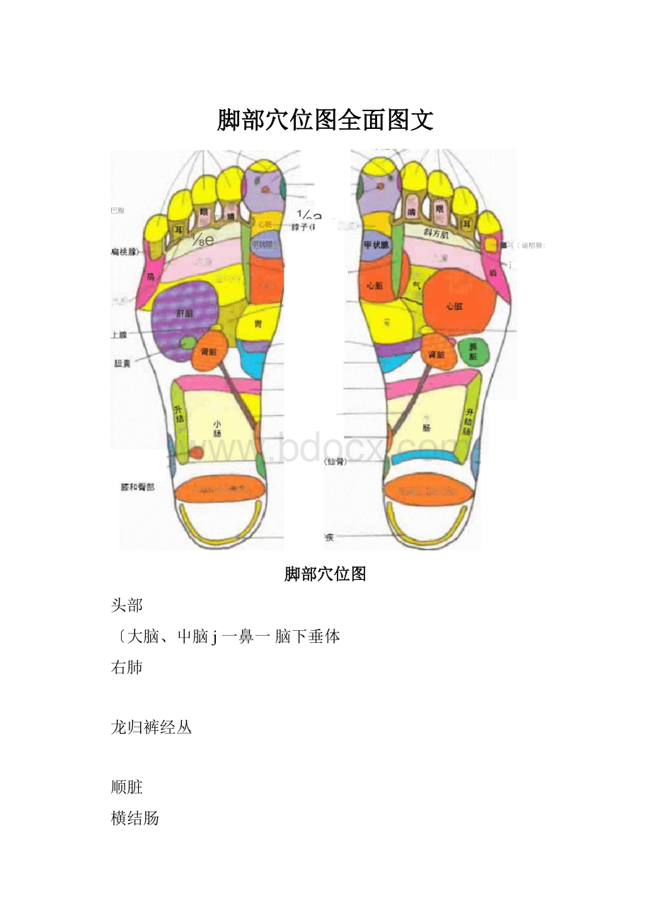 脚部穴位图全面图文.docx_第1页