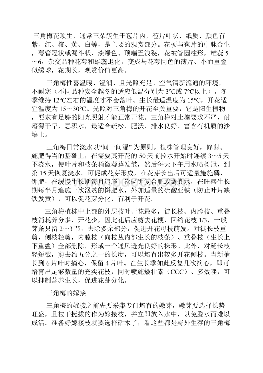 校本课程教案4三角梅的养殖方法.docx_第3页