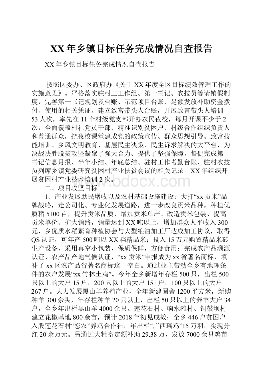 XX年乡镇目标任务完成情况自查报告.docx