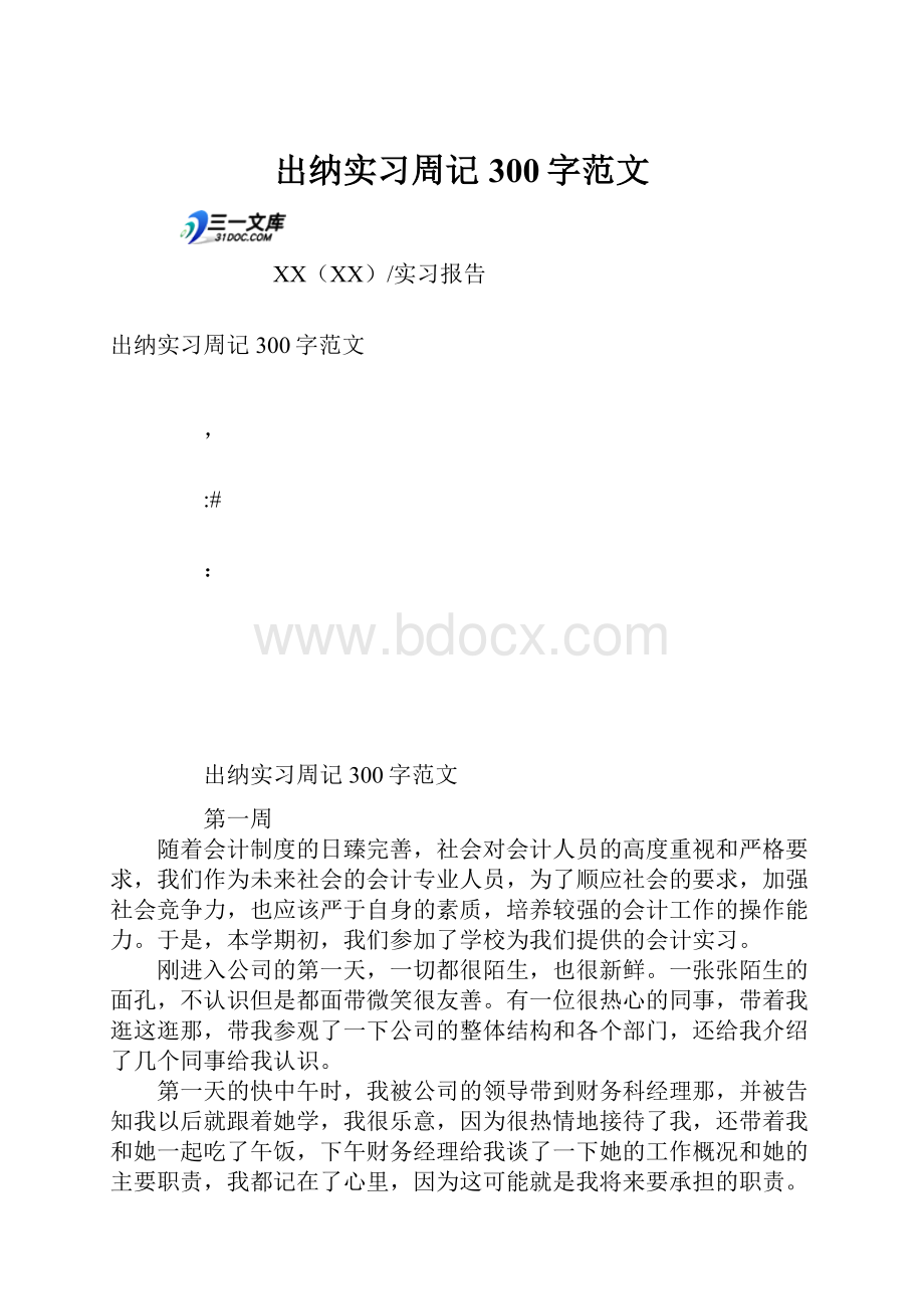 出纳实习周记300字范文.docx