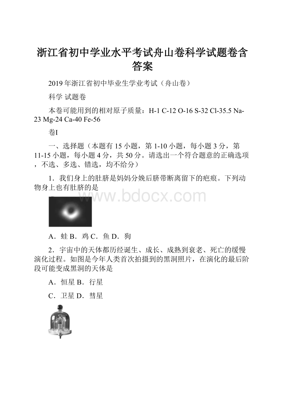 浙江省初中学业水平考试舟山卷科学试题卷含答案.docx_第1页