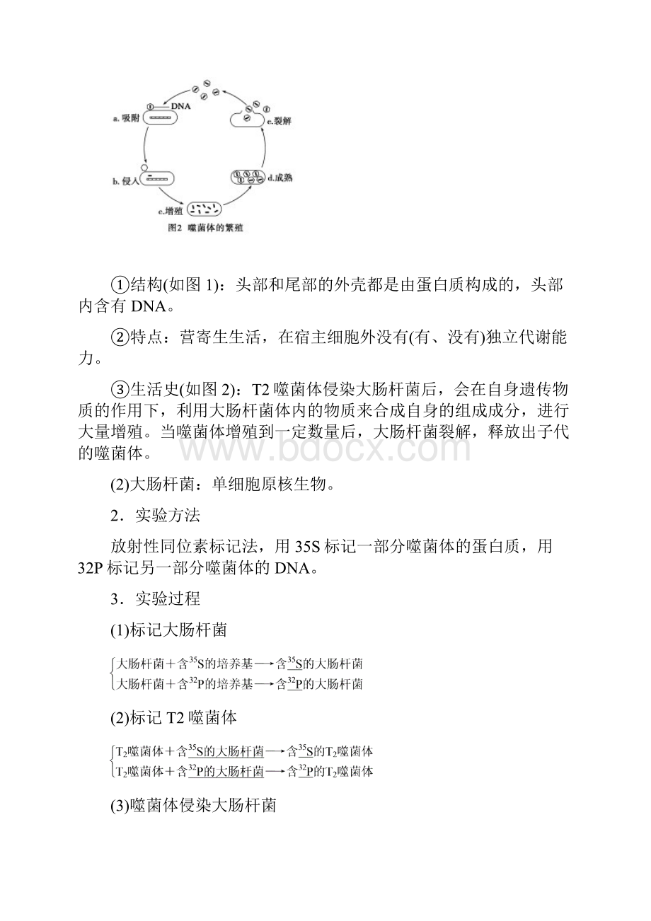 学年高中生物苏教版必修二学案文档第四章 第一节 第一课时 探索遗传物质的过程.docx_第3页