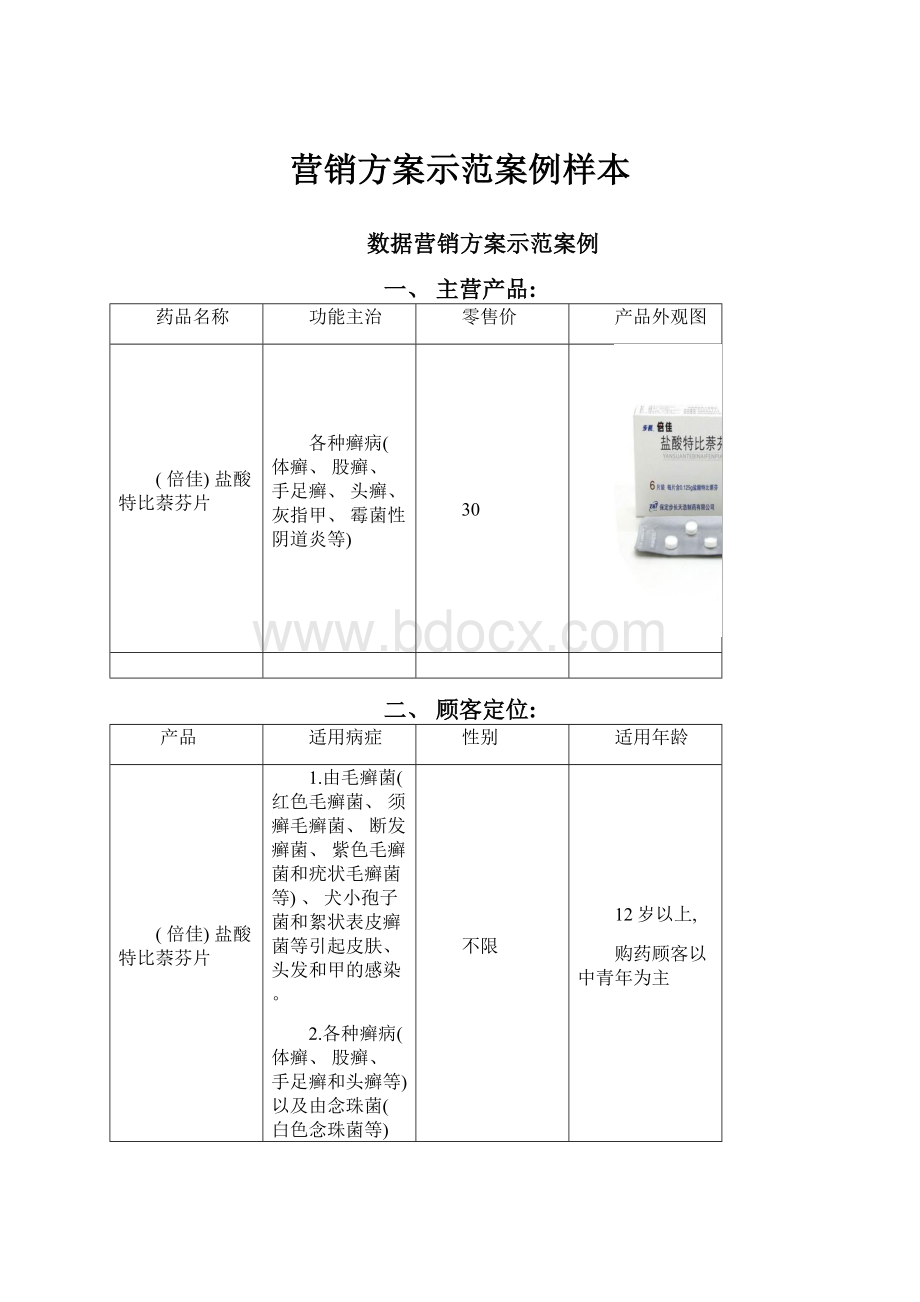 营销方案示范案例样本.docx_第1页