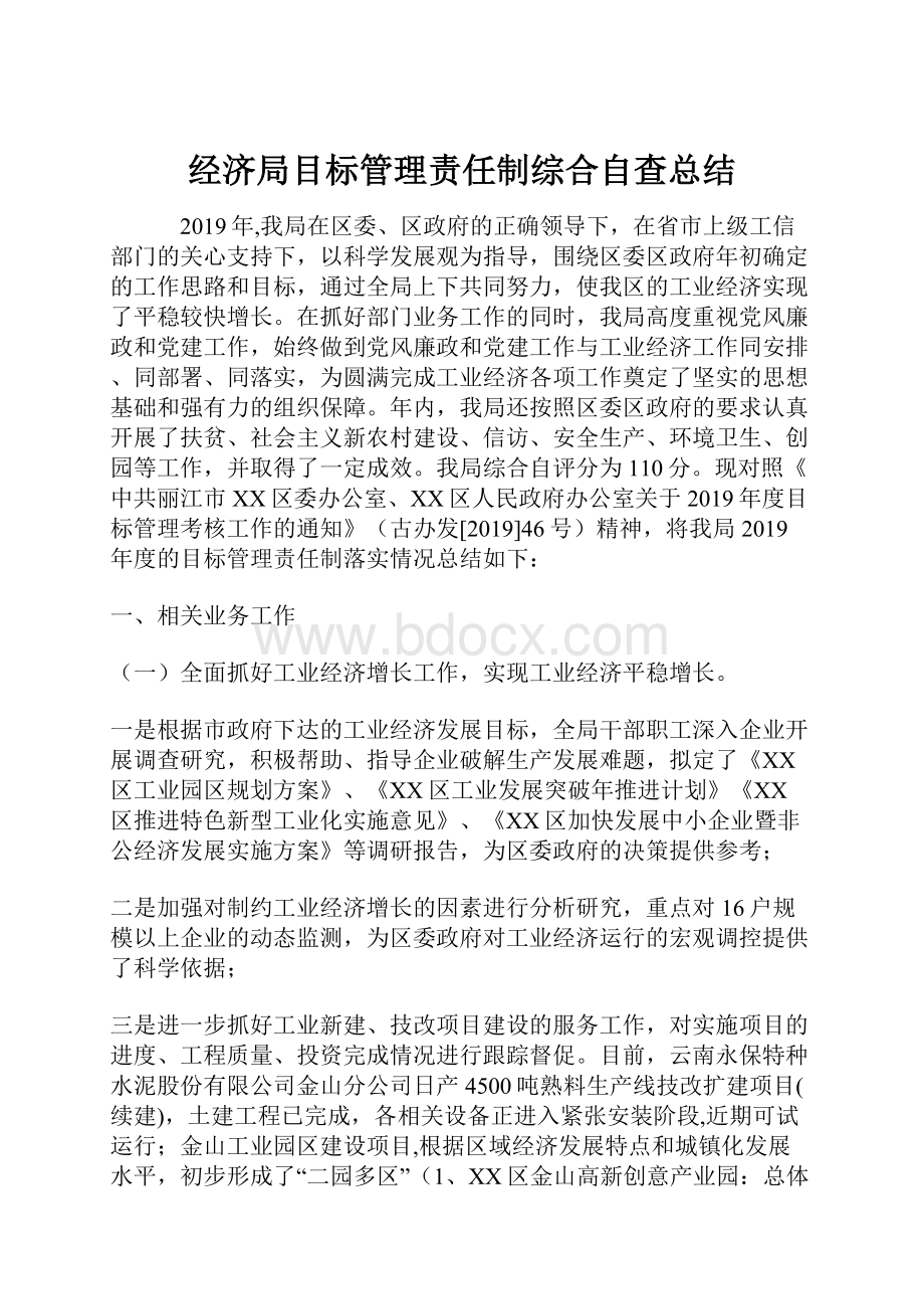 经济局目标管理责任制综合自查总结.docx