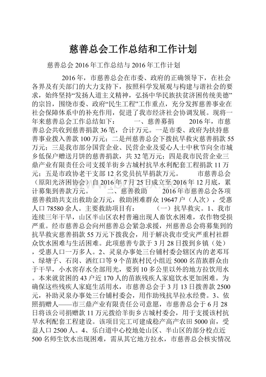 慈善总会工作总结和工作计划.docx