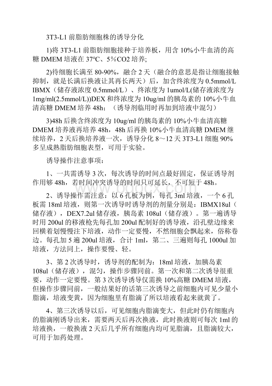 3T3L1细胞诱导分化之欧阳史创编.docx_第2页