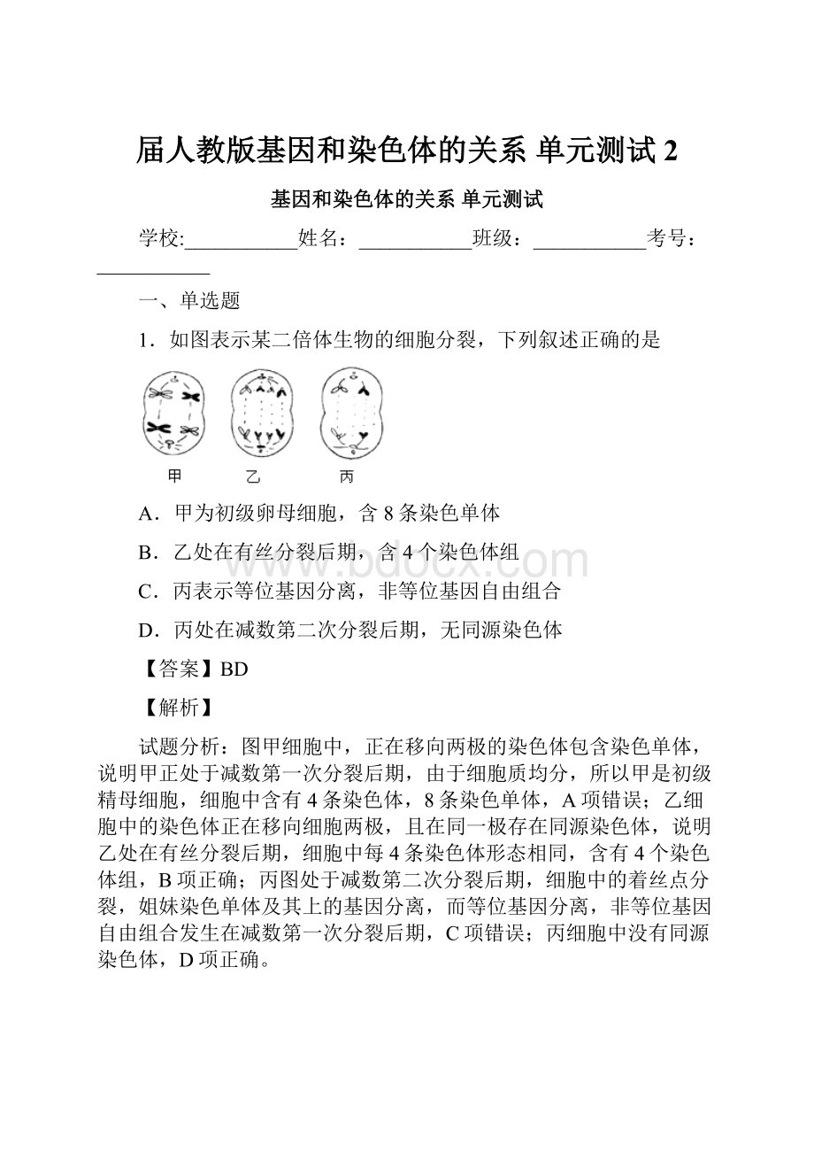 届人教版基因和染色体的关系 单元测试 2.docx