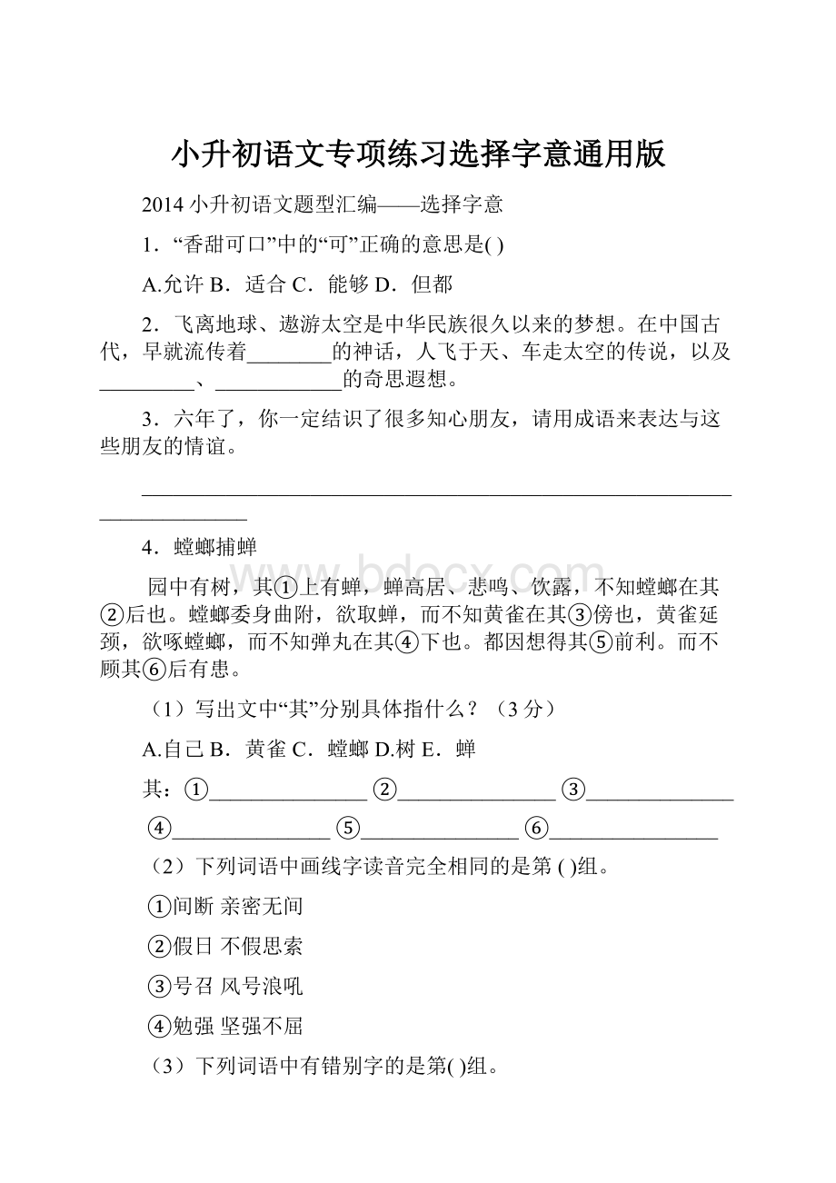 小升初语文专项练习选择字意通用版.docx