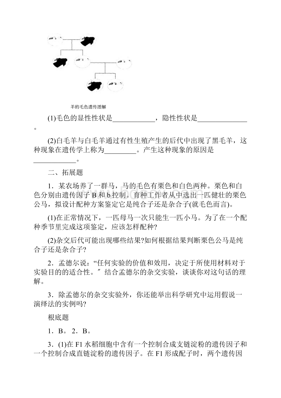 必修2遗传与进化课后习题.docx_第2页