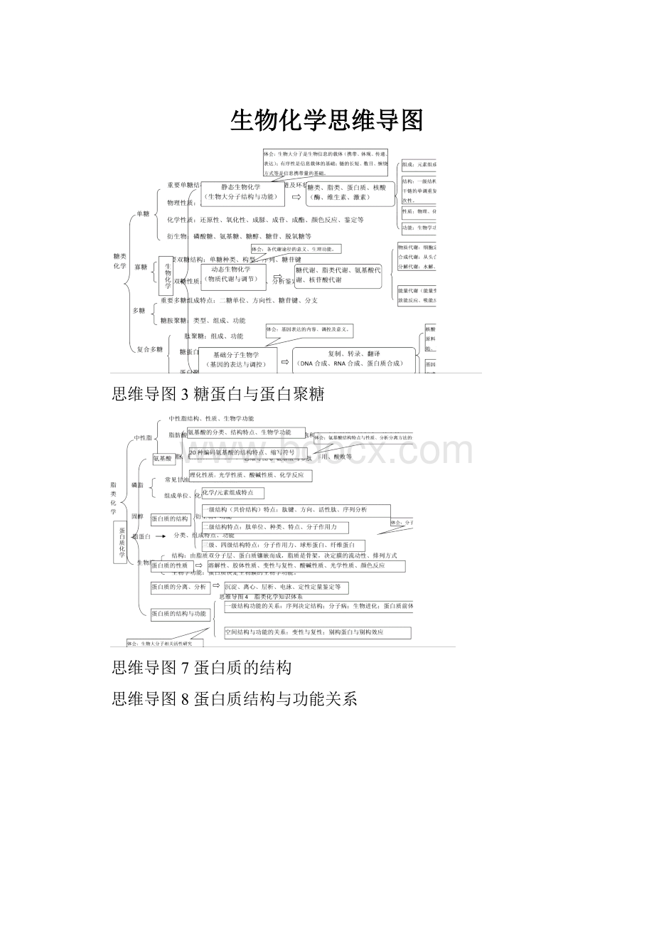 生物化学思维导图.docx