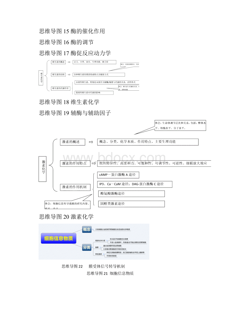 生物化学思维导图.docx_第3页