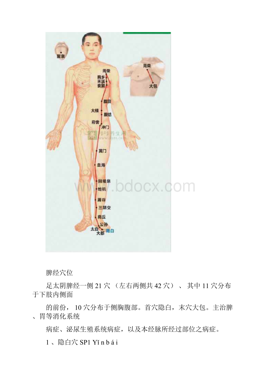 脾经的位置图.docx_第3页