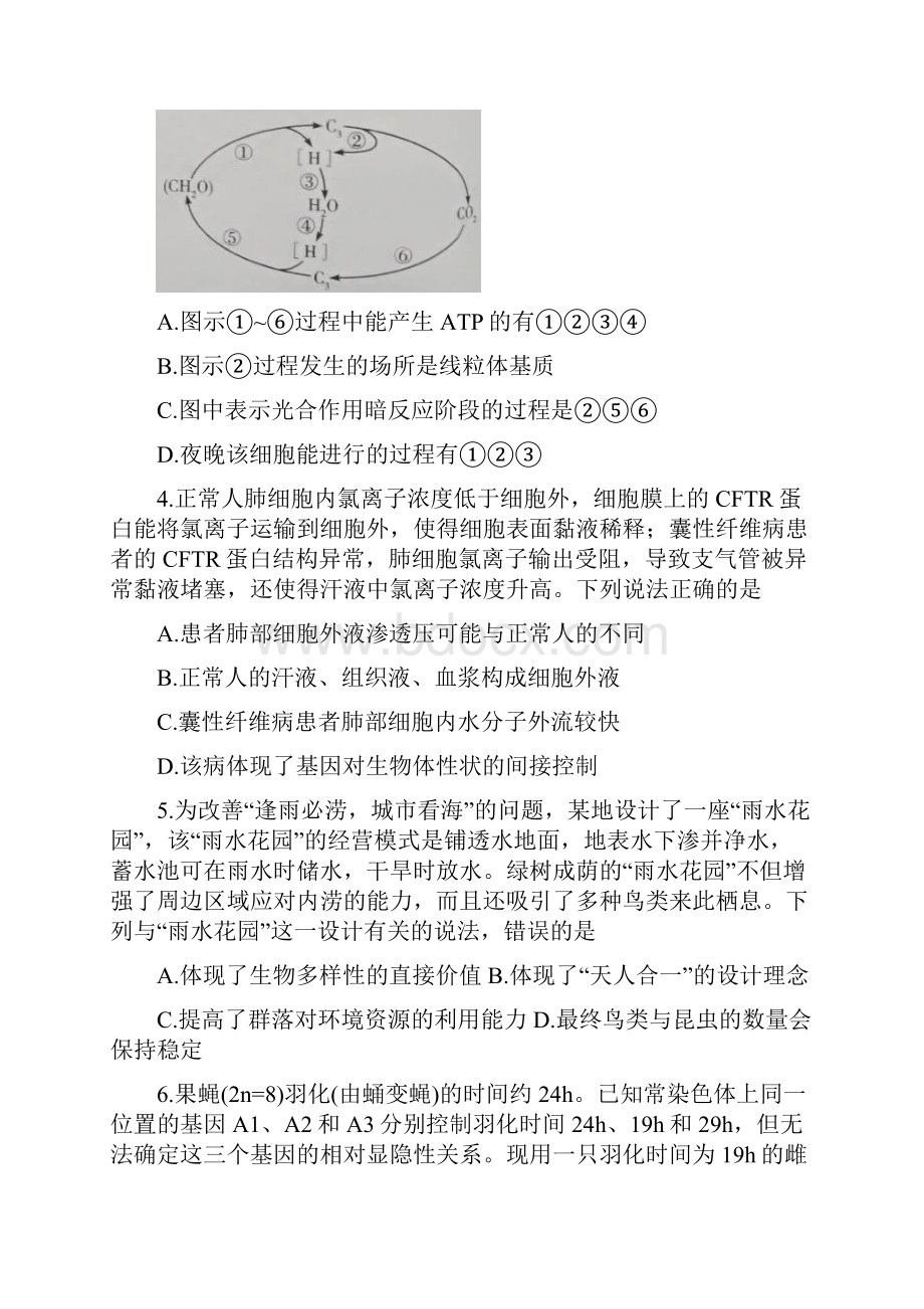 理科综合模拟届东莞市高三毕业班第二次综合考试理科综合试题.docx_第2页