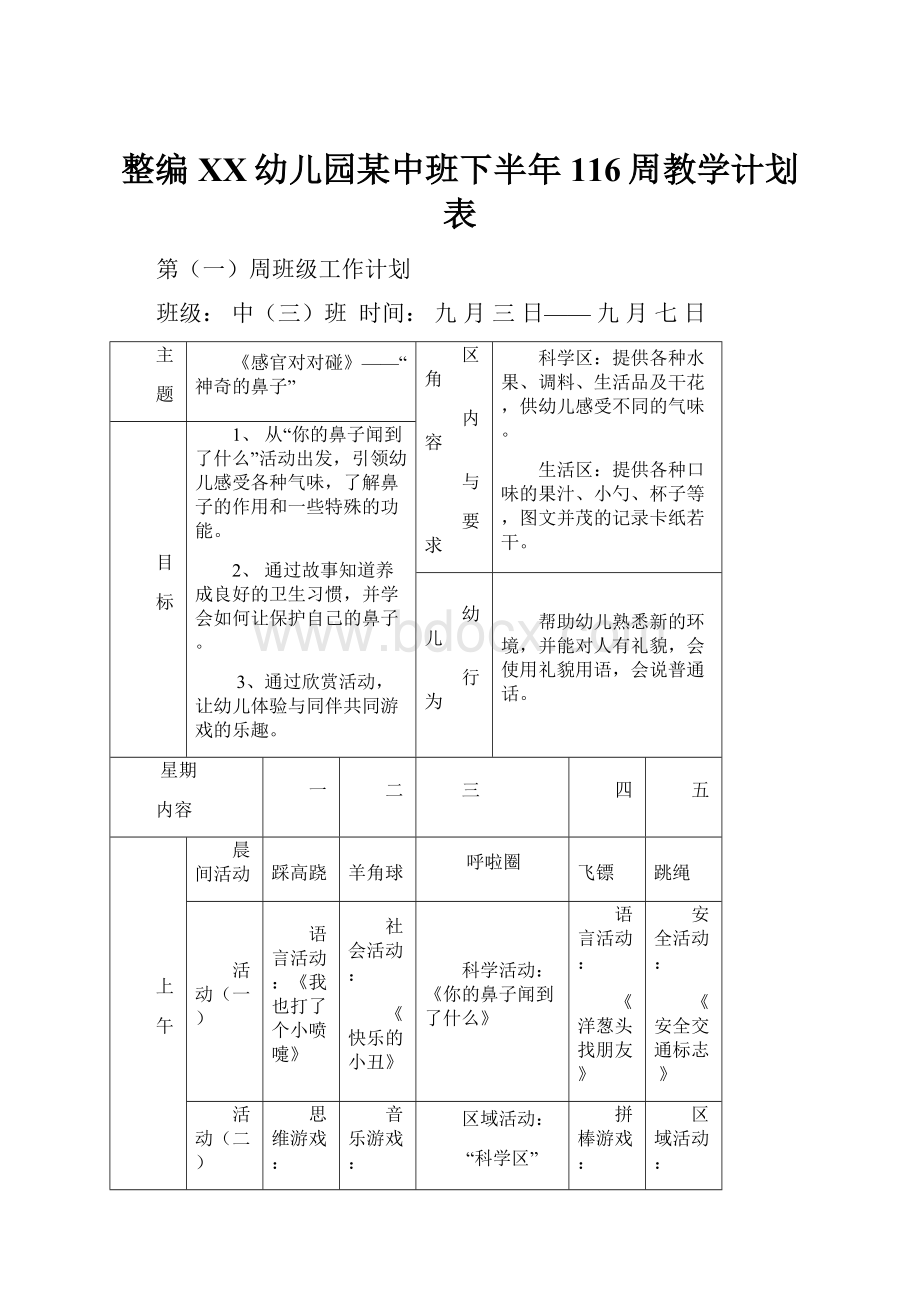 整编XX幼儿园某中班下半年116周教学计划表.docx