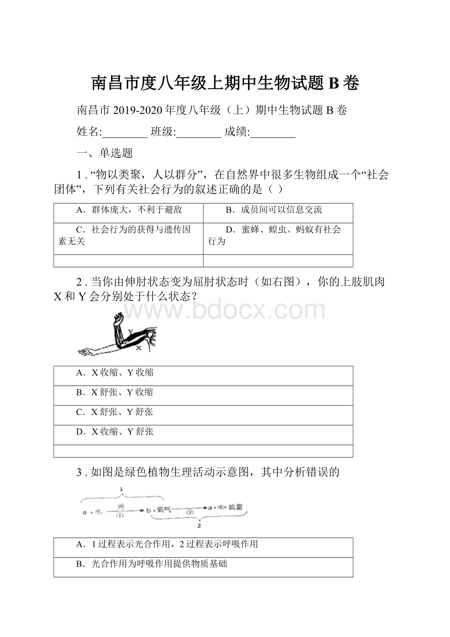 南昌市度八年级上期中生物试题B卷.docx_第1页