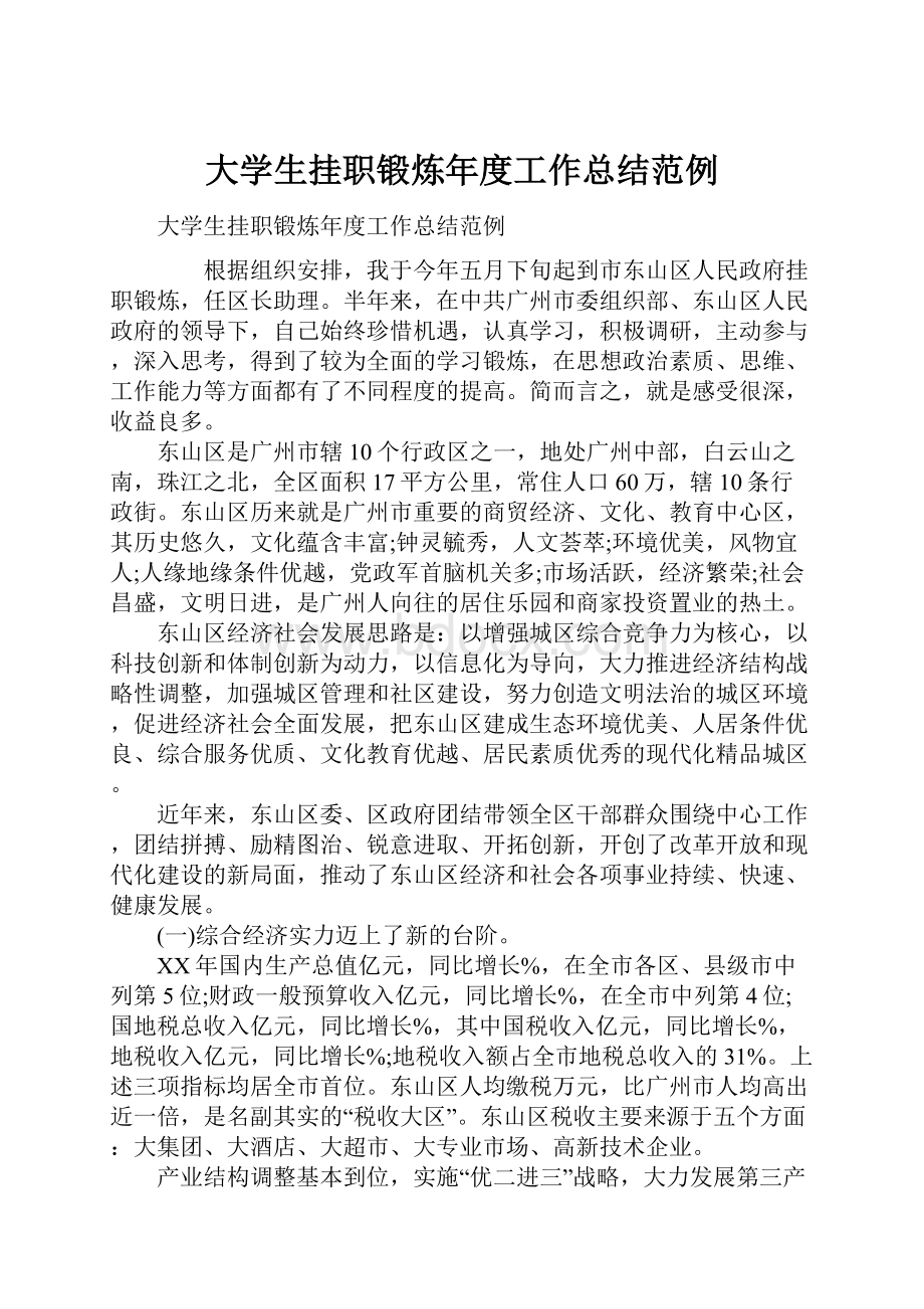 大学生挂职锻炼年度工作总结范例.docx