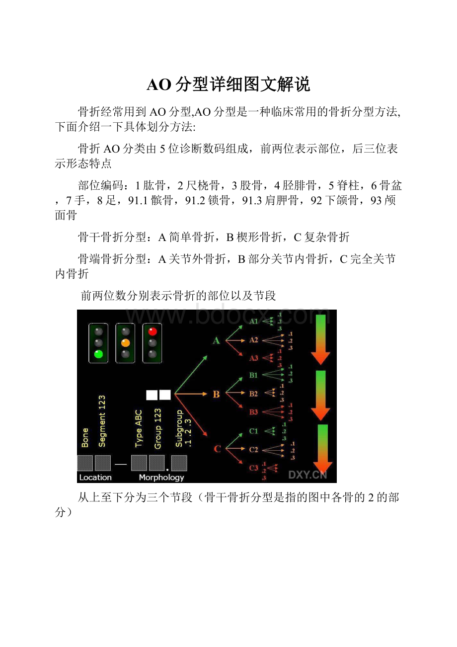 AO分型详细图文解说.docx_第1页