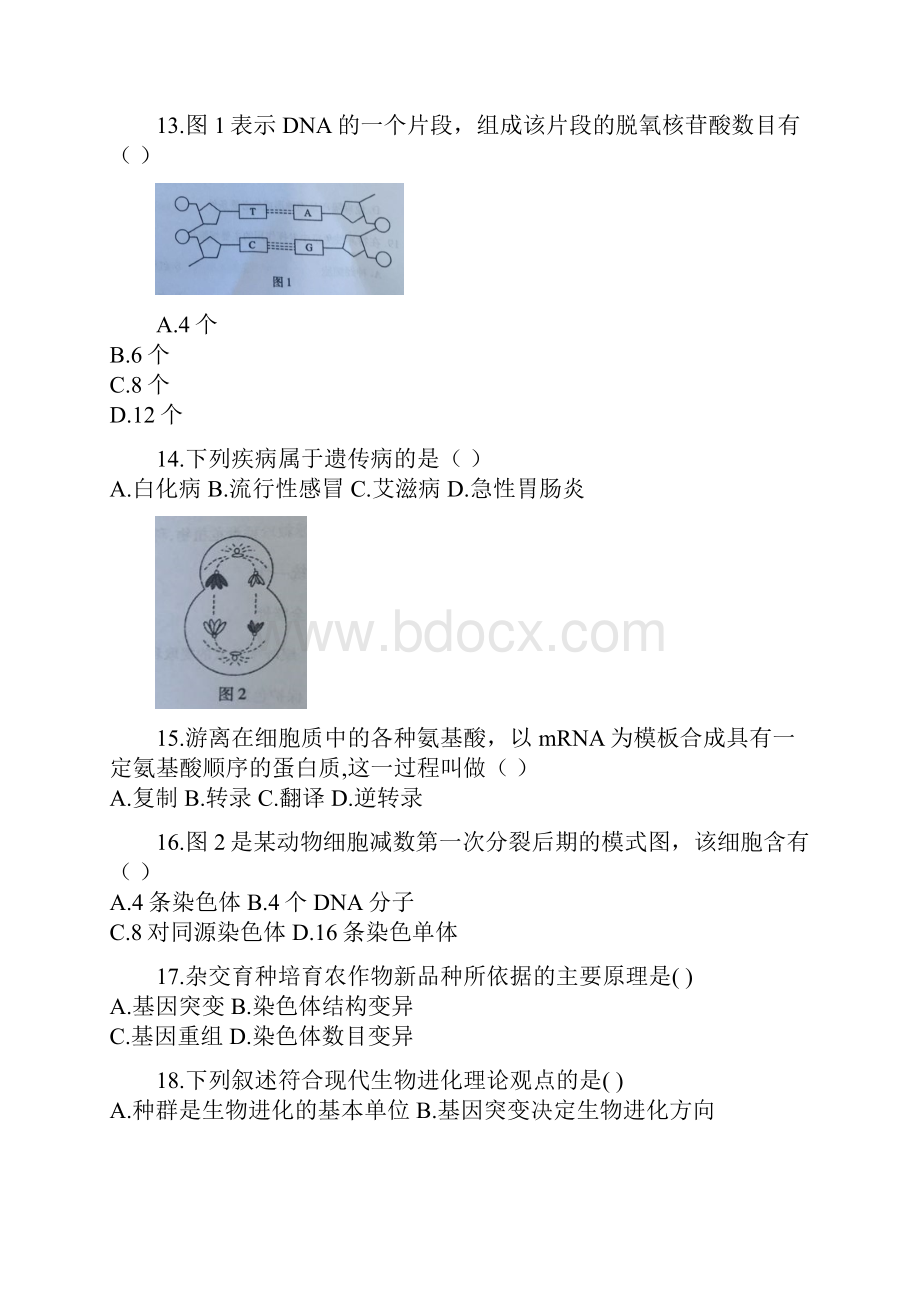 福建省普通高中学生学业基础会考生物精彩试题.docx_第3页