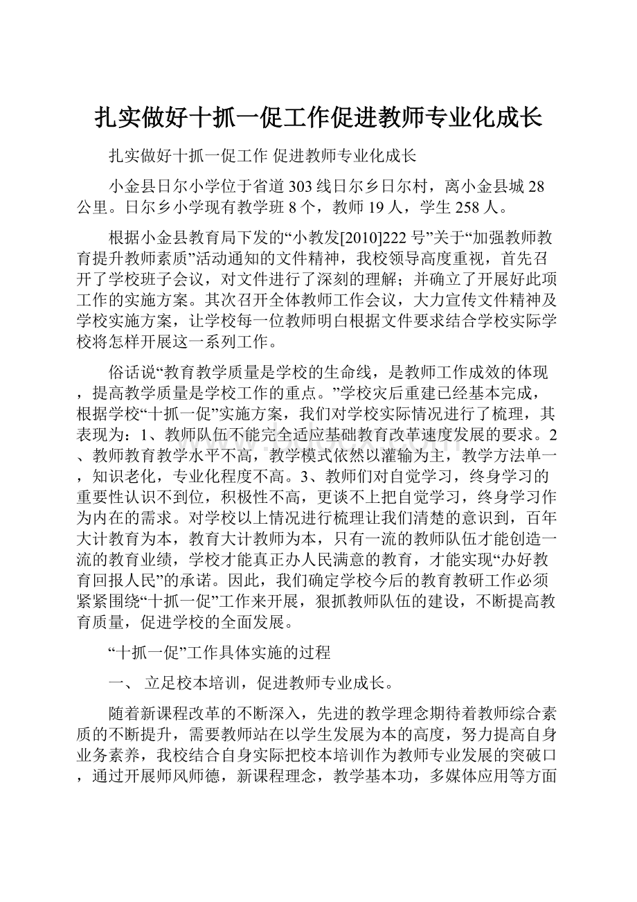 扎实做好十抓一促工作促进教师专业化成长.docx