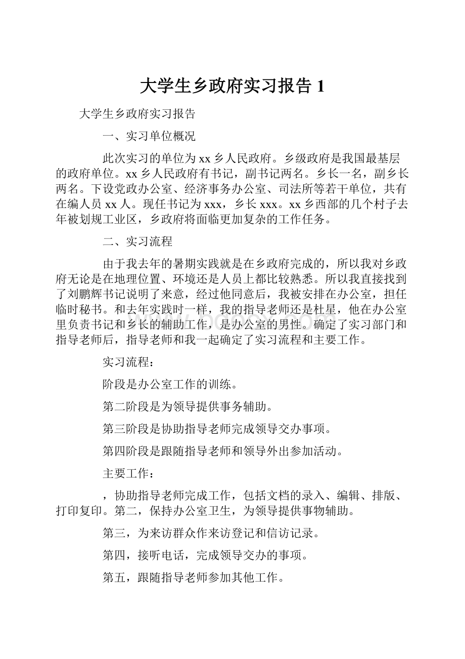 大学生乡政府实习报告1.docx