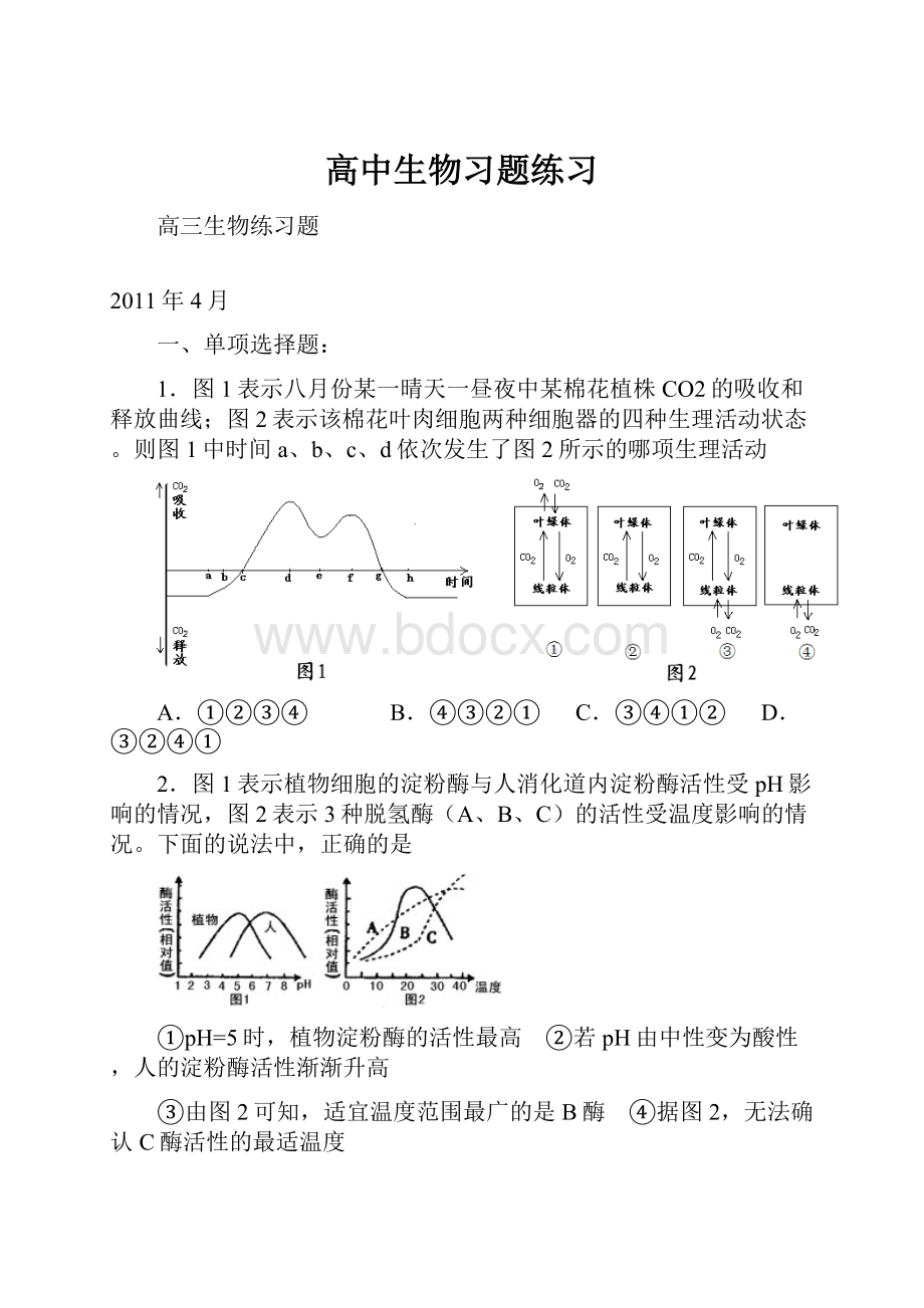 高中生物习题练习.docx