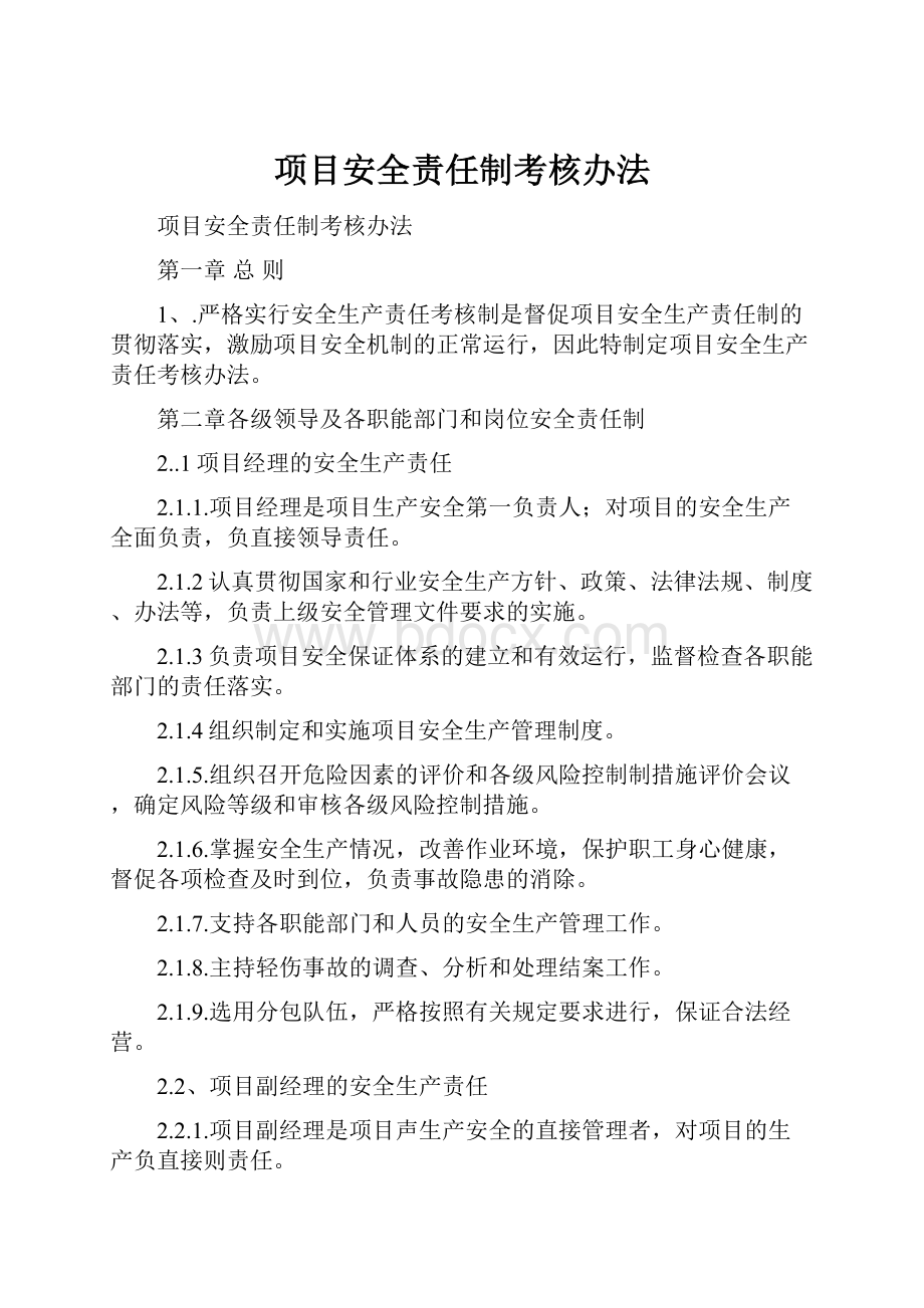 项目安全责任制考核办法.docx