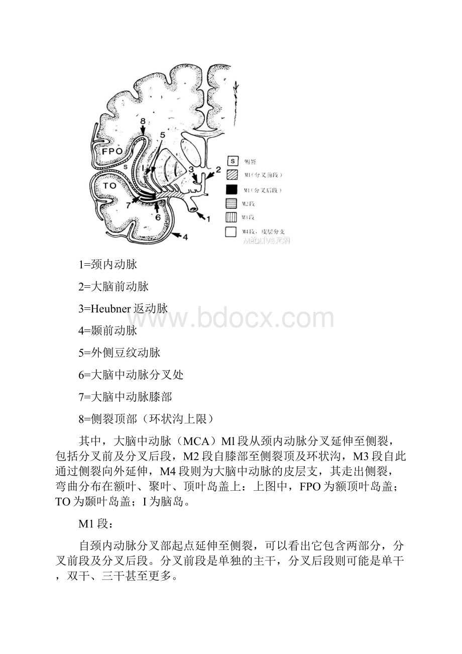 大脑中动脉分段.docx_第2页