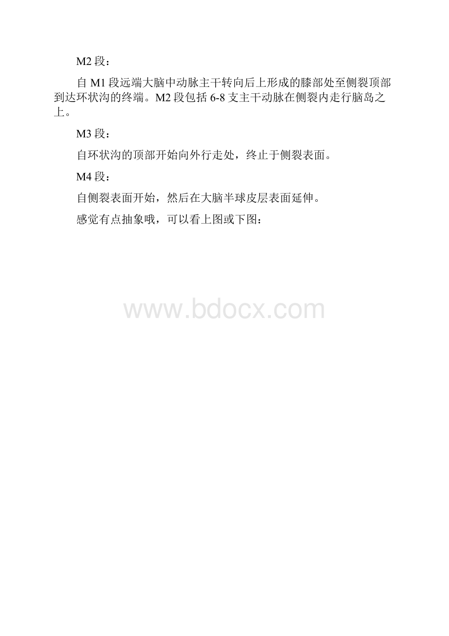 大脑中动脉分段.docx_第3页