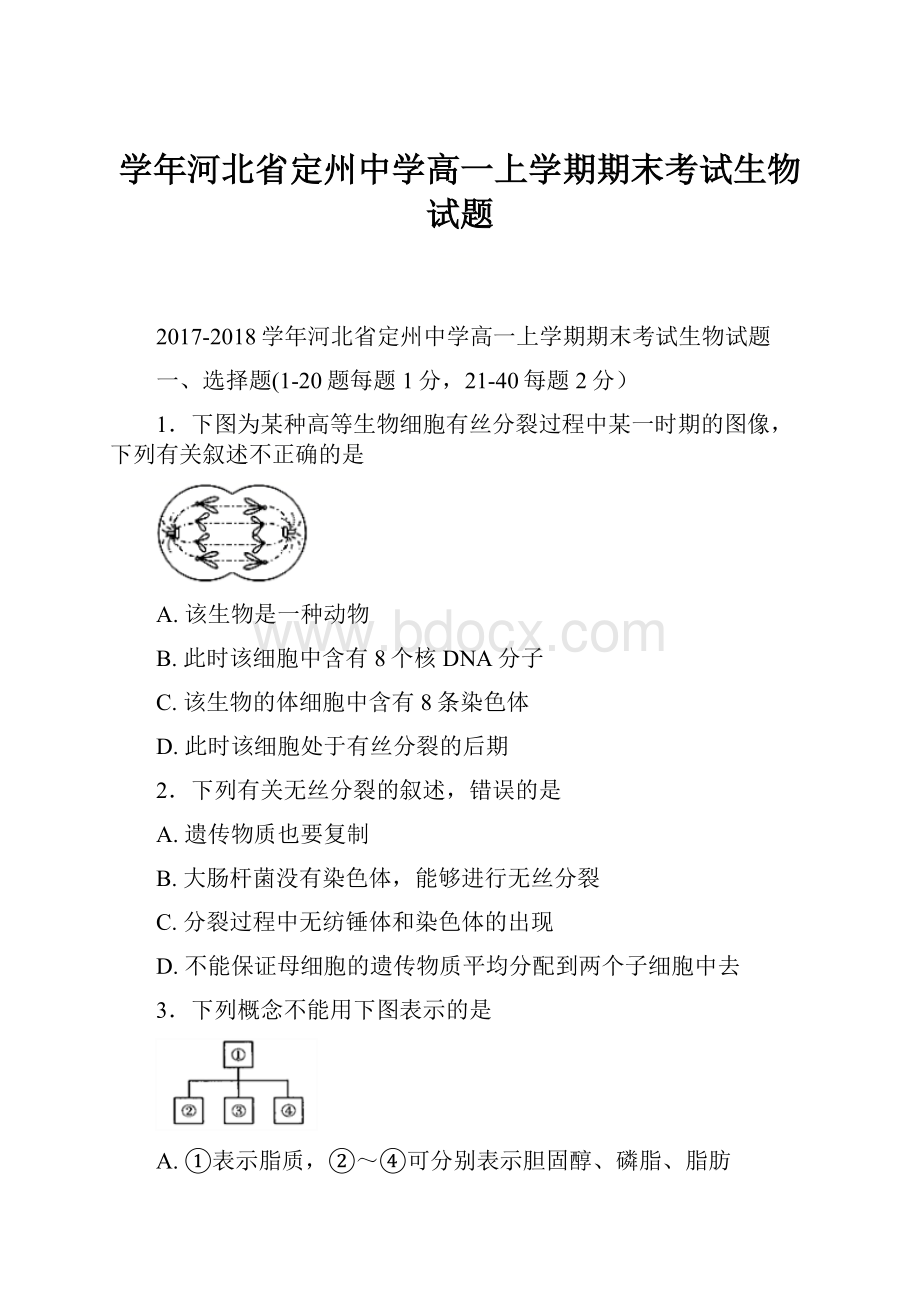 学年河北省定州中学高一上学期期末考试生物试题.docx_第1页