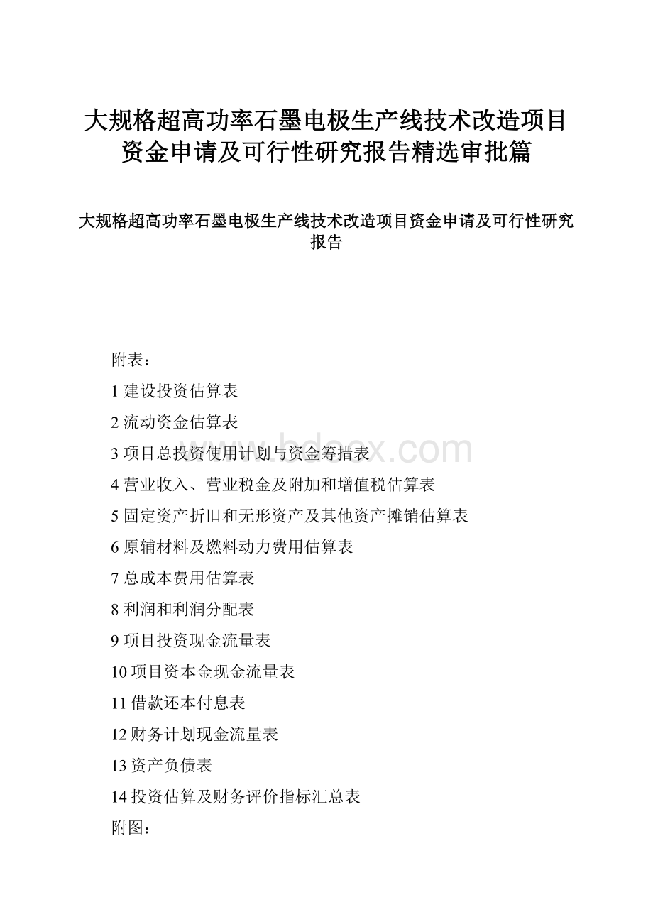 大规格超高功率石墨电极生产线技术改造项目资金申请及可行性研究报告精选审批篇.docx_第1页