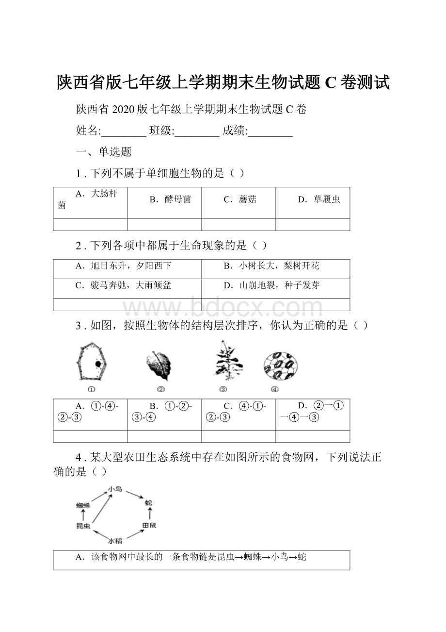 陕西省版七年级上学期期末生物试题C卷测试.docx