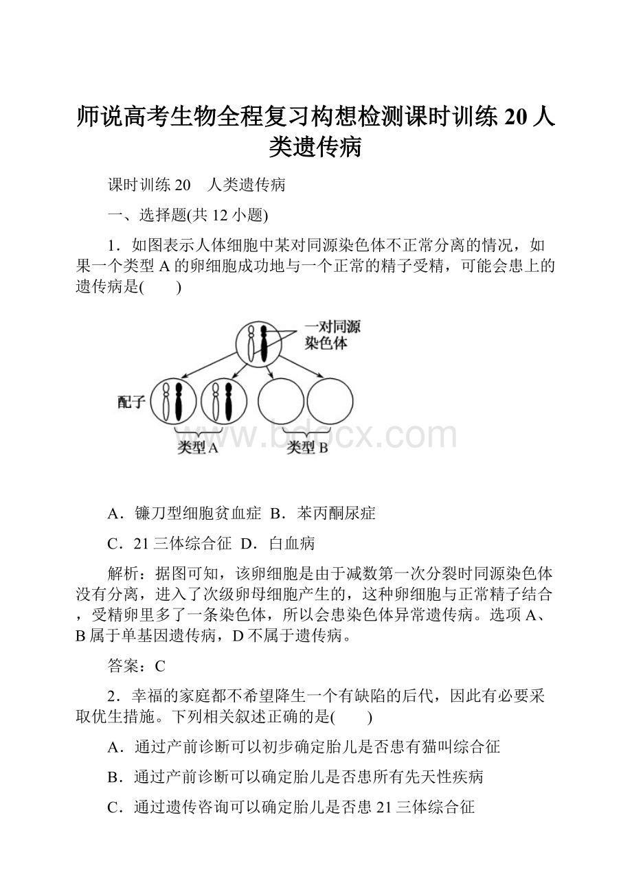 师说高考生物全程复习构想检测课时训练20人类遗传病.docx