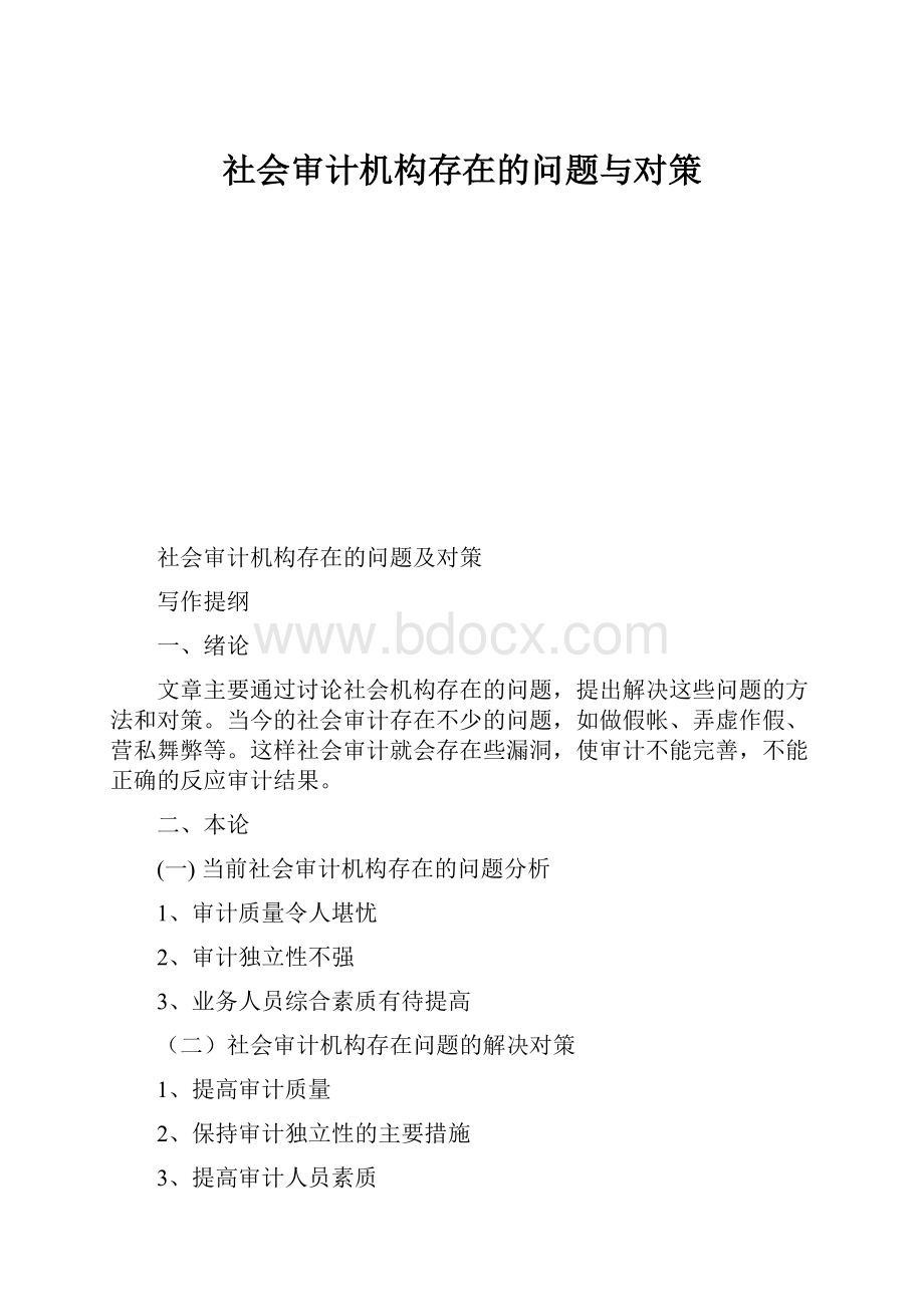 社会审计机构存在的问题与对策.docx