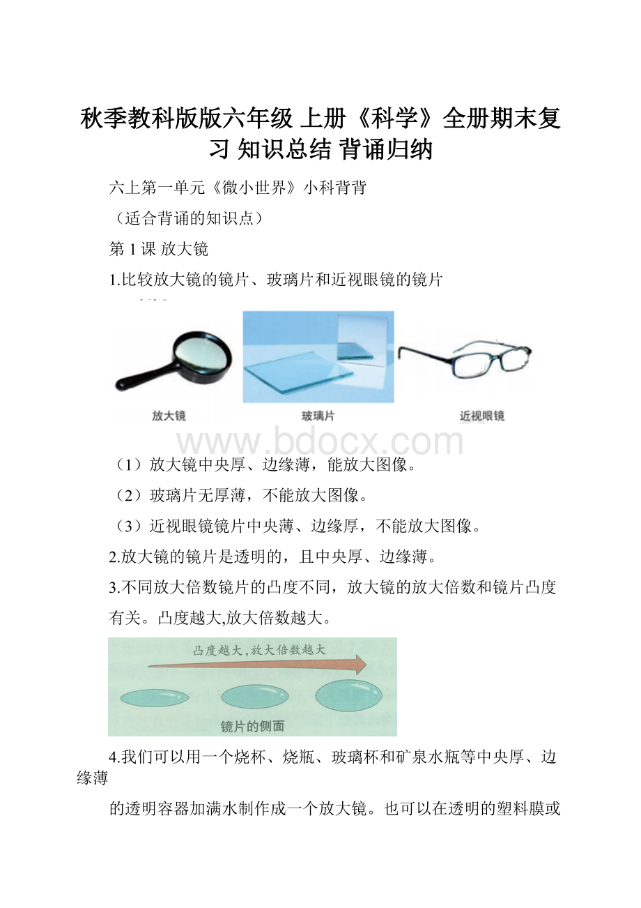 秋季教科版版六年级 上册《科学》全册期末复习 知识总结 背诵归纳.docx