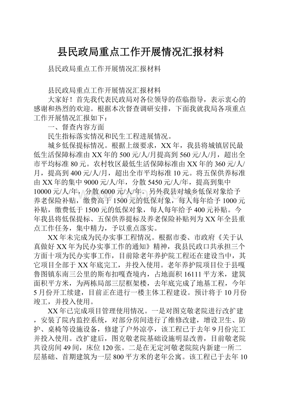 县民政局重点工作开展情况汇报材料.docx