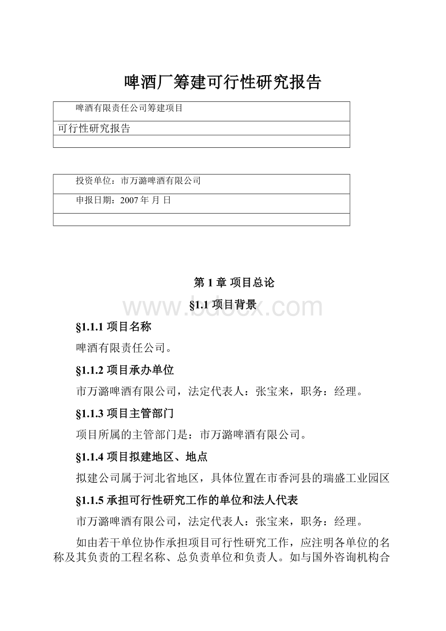 啤酒厂筹建可行性研究报告.docx