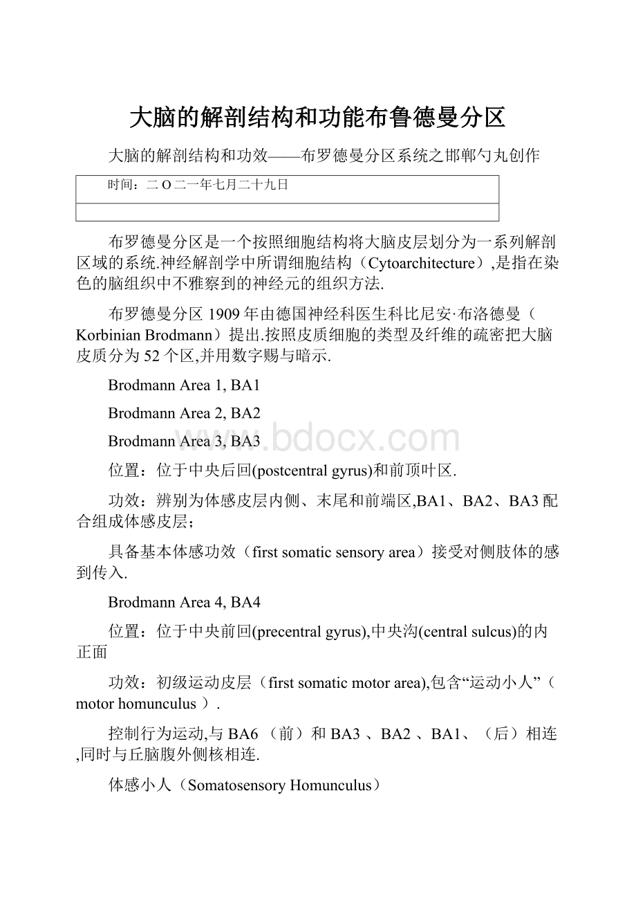 大脑的解剖结构和功能布鲁德曼分区.docx