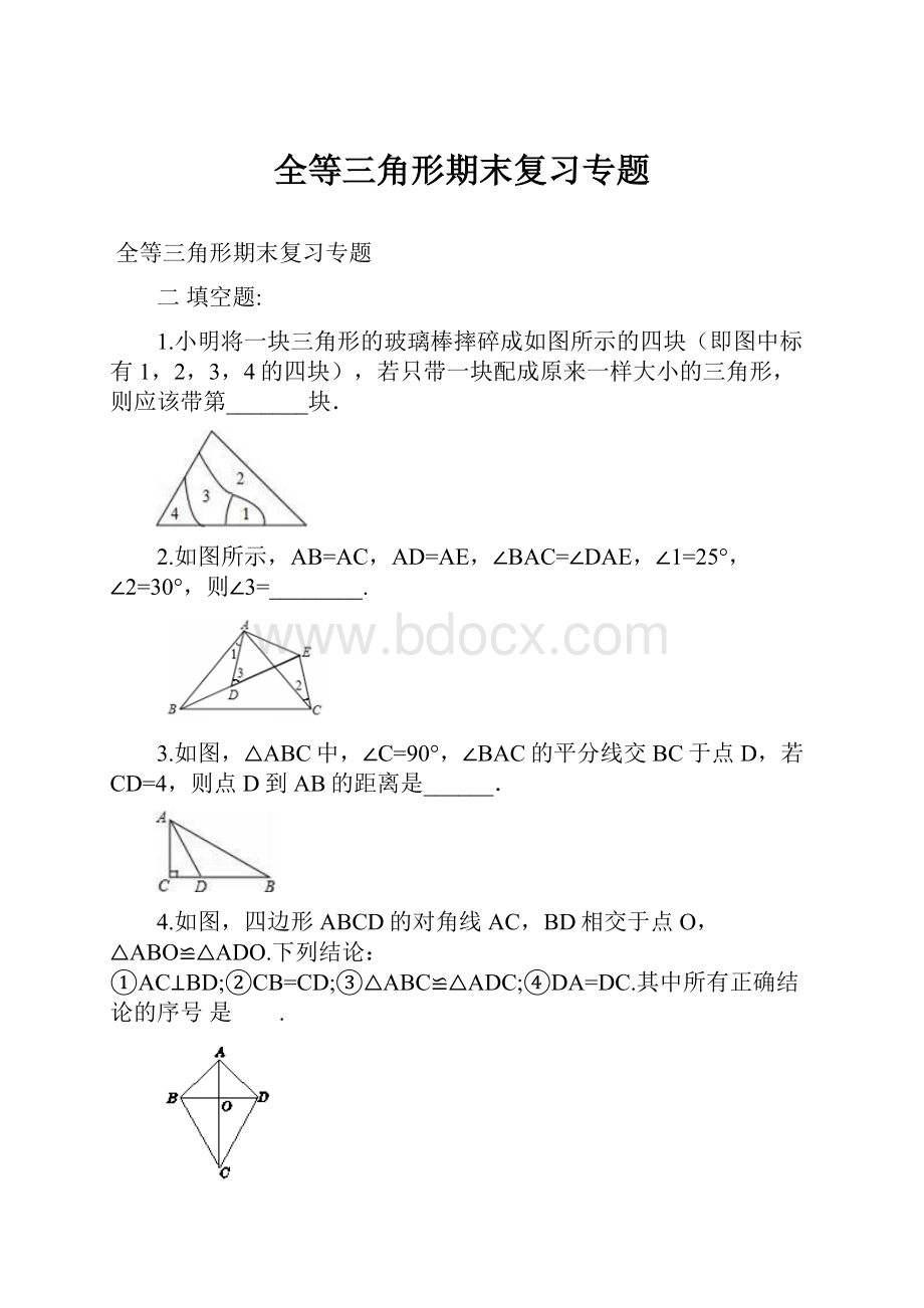 全等三角形期末复习专题.docx