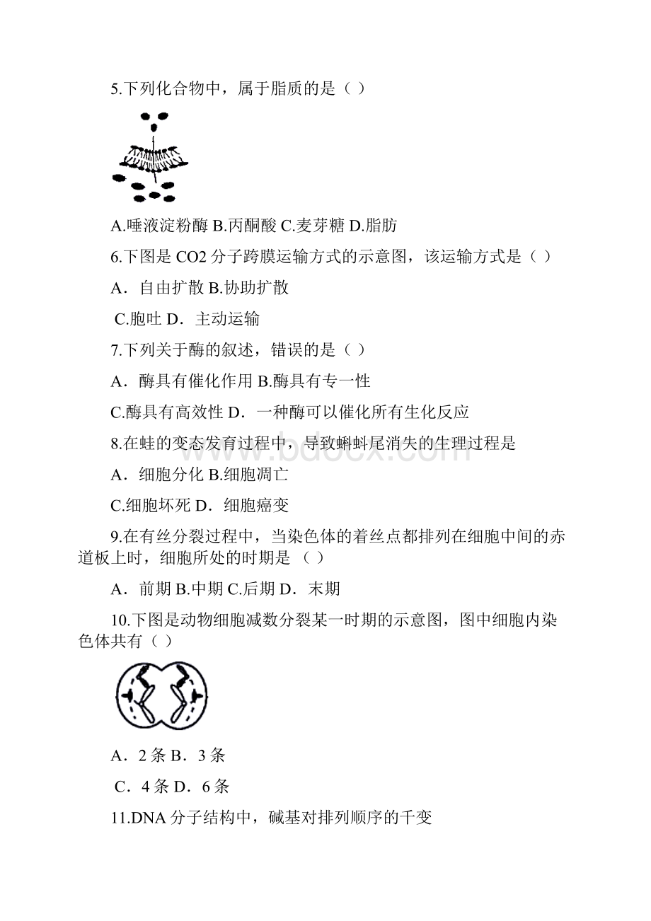 江苏省至普通高中学业水平测试必修科目生物试题及答案word版.docx_第2页