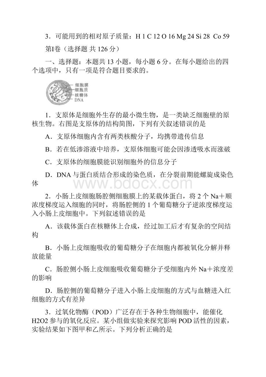 河南省XXX高级中学届高考总复习高三理综下学期第一次模拟测试试题.docx_第2页