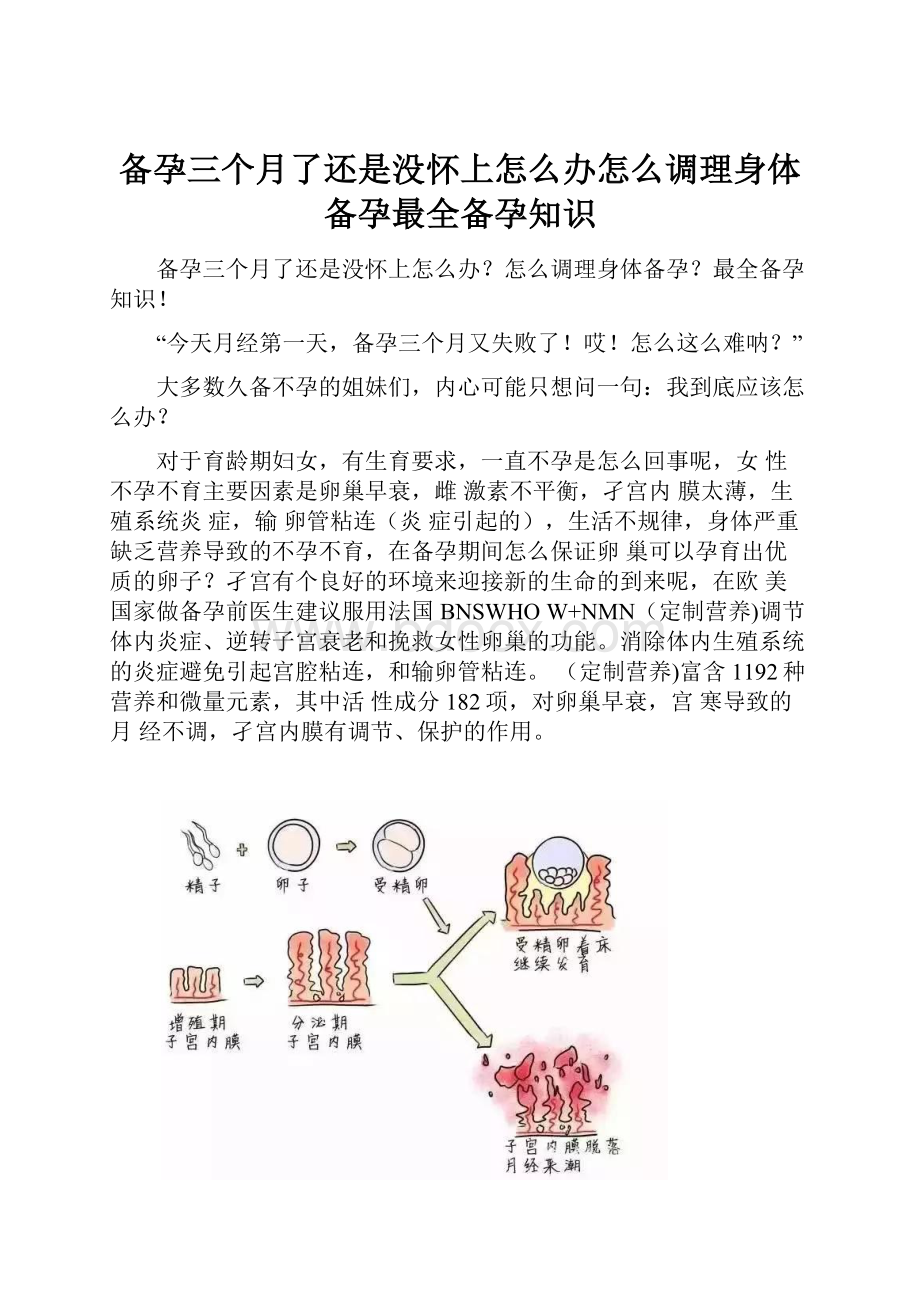 备孕三个月了还是没怀上怎么办怎么调理身体备孕最全备孕知识.docx